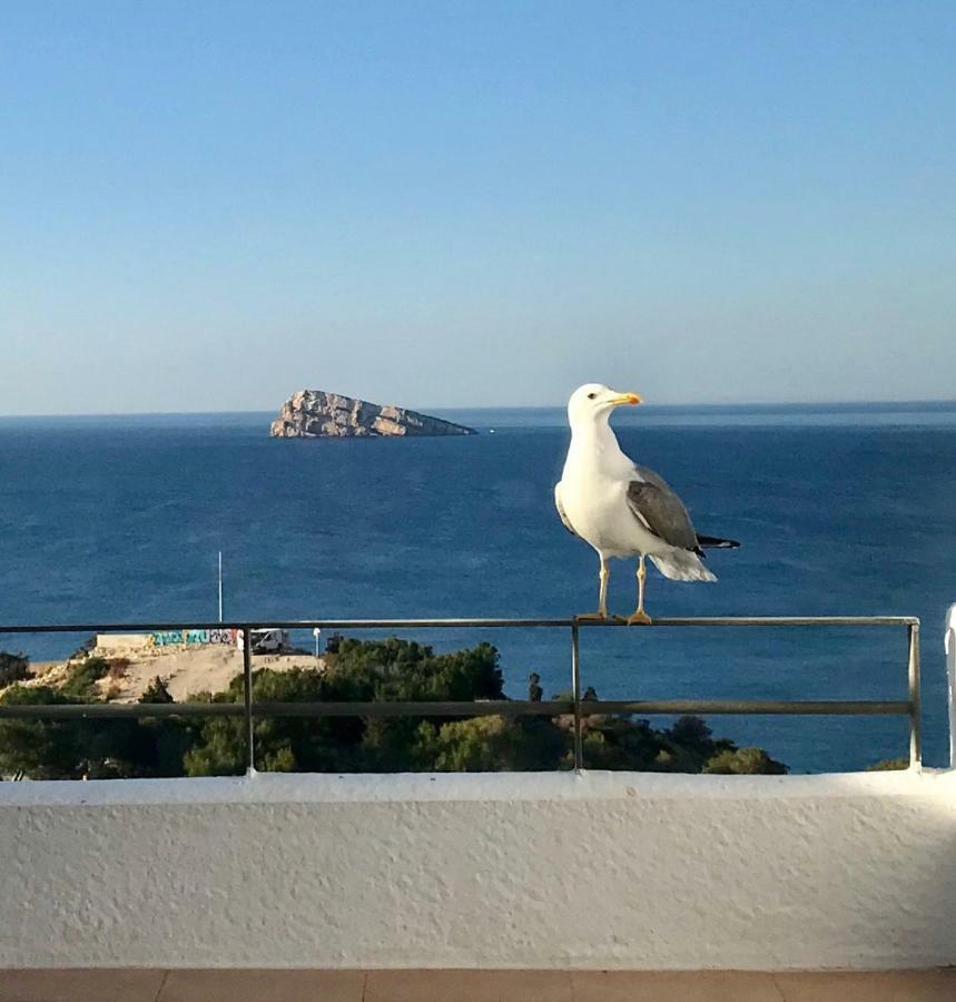 Duplex Villamarina Benidorm Dış mekan fotoğraf
